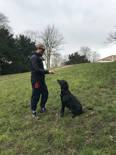 Clicdog