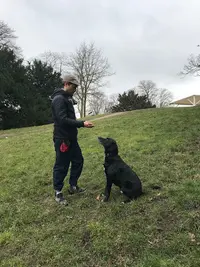 Clicdog