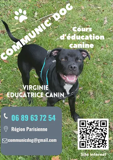 Communic Dog
