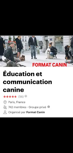 Format Canin