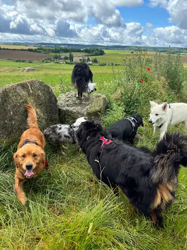 La Tribu de Marion