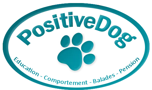 Positive Dog