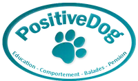 Positive Dog