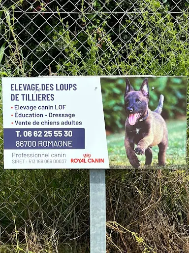 Élevage des Loups de Tillières