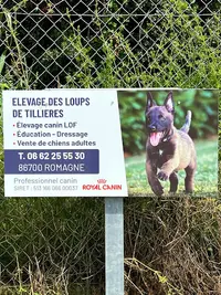 Élevage des Loups de Tillières