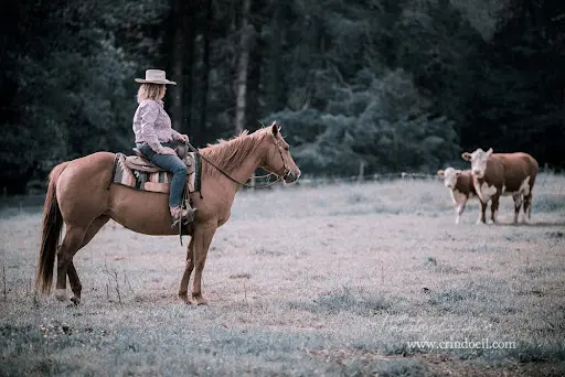 West Wind Ranch