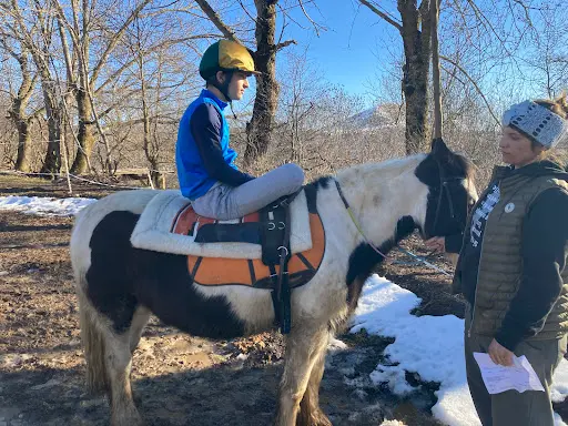 Centre de Thérapie Par le Cheval -equithérapie-la Havane de Buissard