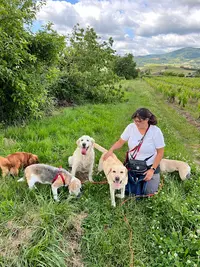 Mes Complices Canins
