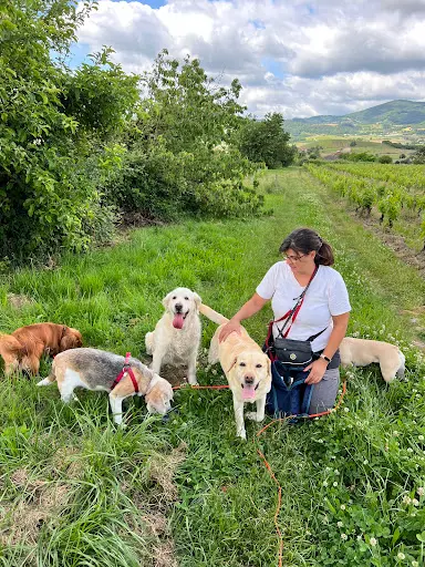 Mes Complices Canins