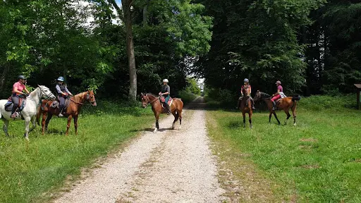 Ecurie Cadence et Epices