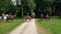 Ecurie Cadence et Epices