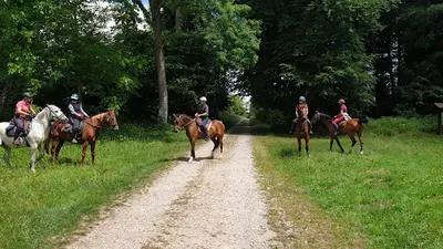 Ecurie Cadence et Epices