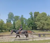Centre Equestre de Gironville sur Essonne