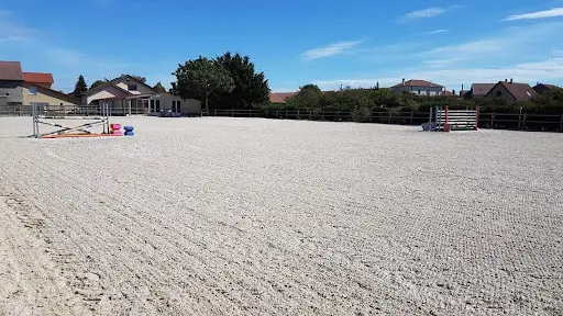 Scea Ferme Equestre des Chenes / Ecurie des Chênes