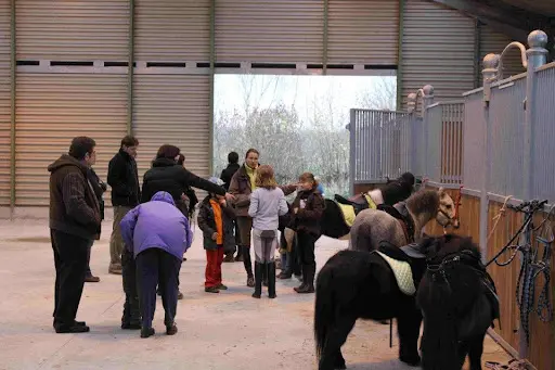 Les Ecuries Ar - Bux Poney