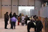 Les Ecuries Ar - Bux Poney