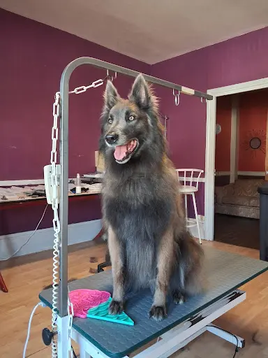 La Toilette des Lou Loups