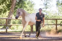Poney Club de la Voile