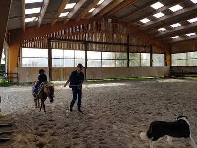 Pôle Equestre de Cabourg - la Sablonnière