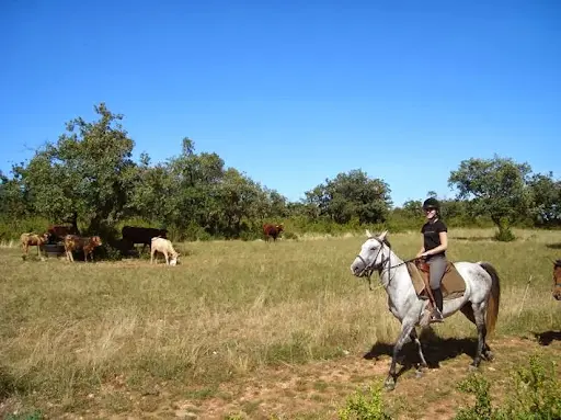 Ferme Equestre du Pech Merle