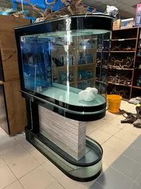 Aquarium Franchi Cichlid S