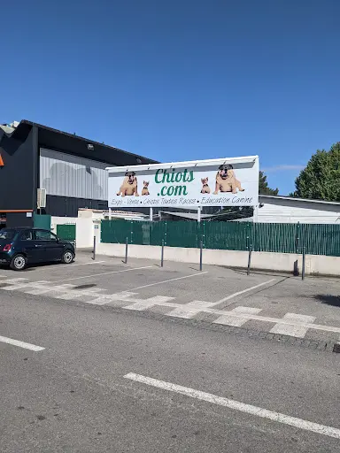 Chiots.com - Expo-vente de Chiots