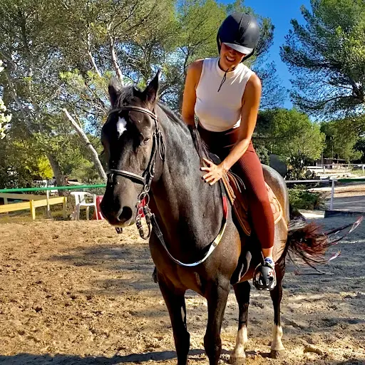 Haras du Boulard