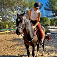 Haras du Boulard
