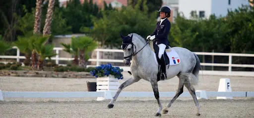 Pôle Equestre Carlos Pinto