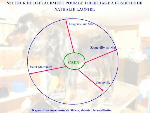 Toilettage A Votre Domicile Nathalie Lagniel
