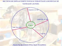 Toilettage A Votre Domicile Nathalie Lagniel