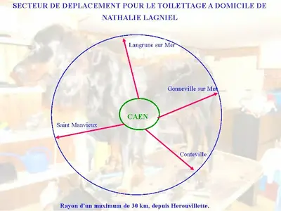 Toilettage A Votre Domicile Nathalie Lagniel
