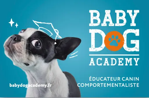 Baby Dog Academy - Éducateur Canin Comportementaliste