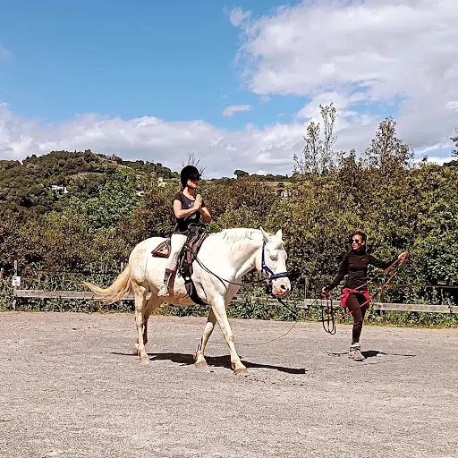 Chevaux de Sagesse
