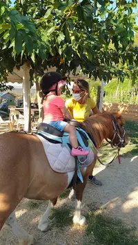 l'Ilot Poneys