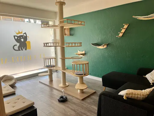 Le Chatelain - Pension Pour Chats