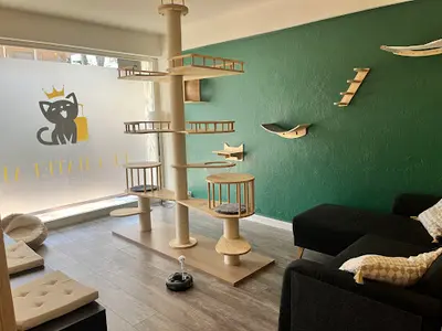 Le Chatelain - Pension Pour Chats