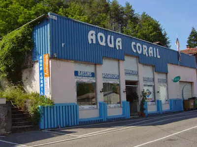 Aqua Corail
