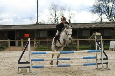 Un Poney Une Histoire
