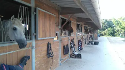 Poney Club de Belle Coste