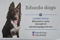 Educdo Dogs