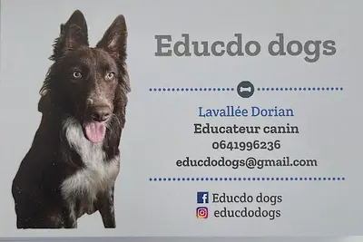 Educdo Dogs