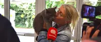 Chatterie de l'Ombre d'Or