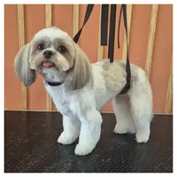 La Bulle Dog