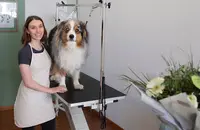Naturellement Chien