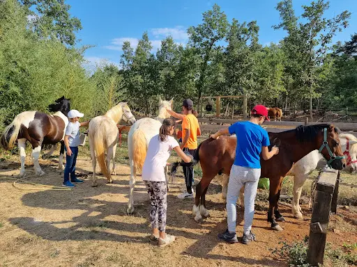 Ecurie Poney Folies