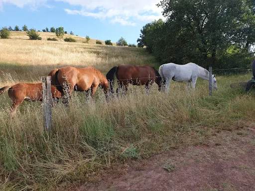 Ferme Équestre du Griou