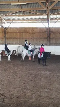 Centre Equestre de Calonne Ricouart