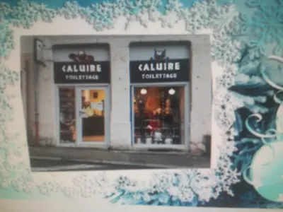 Caluire Toilettage