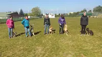 Club d'Éducation Canine Toutes Races : Amicale du Berger de Caluire